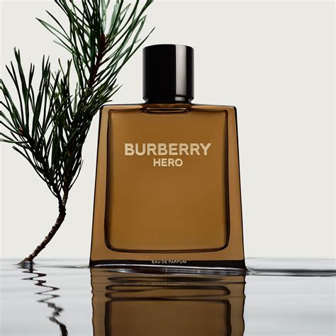 burberry parfum idealo|burberry parfum for men.